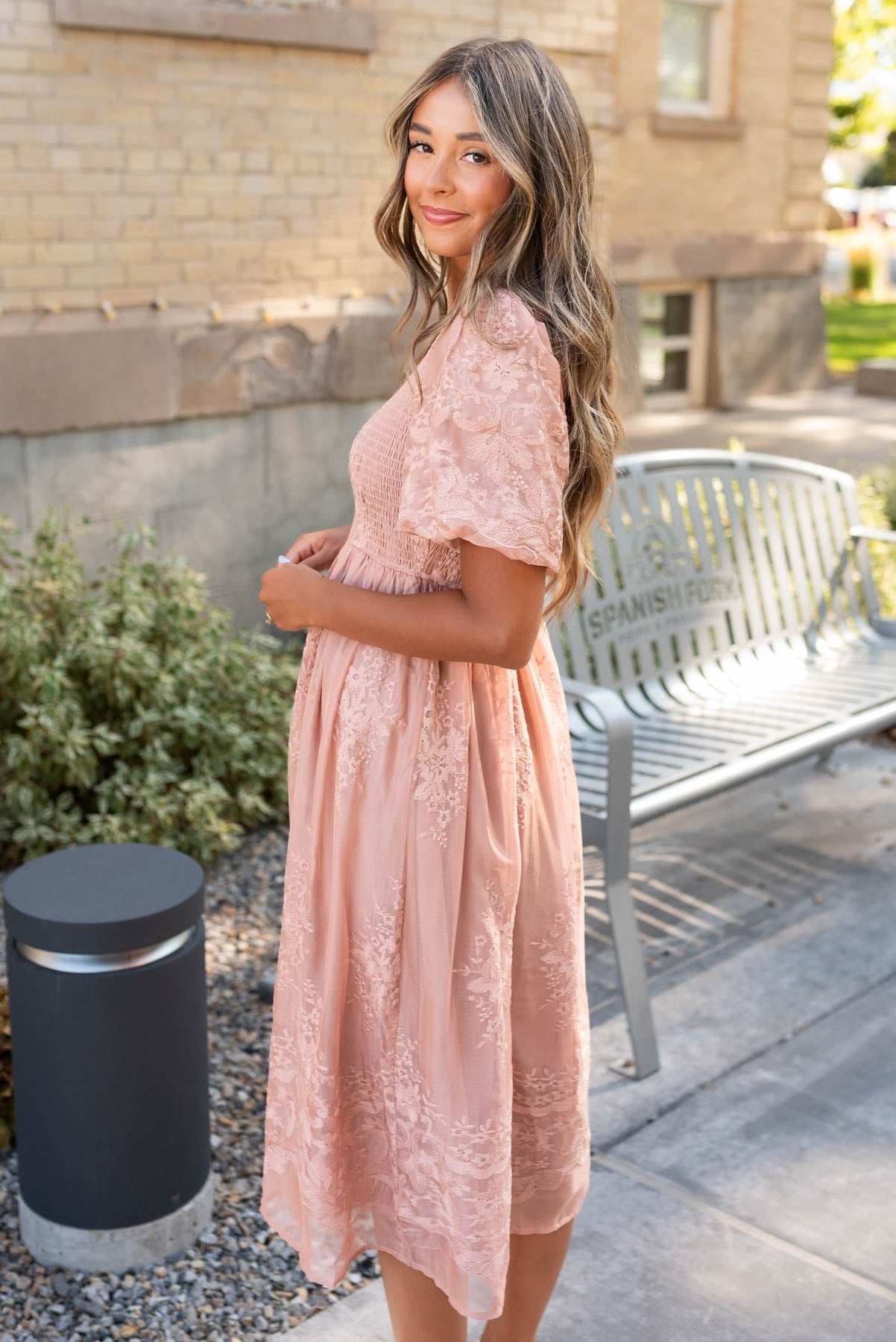 Alyanna Dusty Pink Embroidered Dress